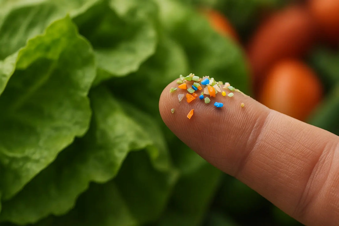 Mikroplastik im Salat? Was wirklich in deinem Blattgemüse steckt our greenery