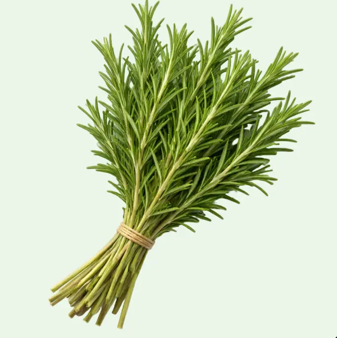 Mediterranean-Herbs our greenery