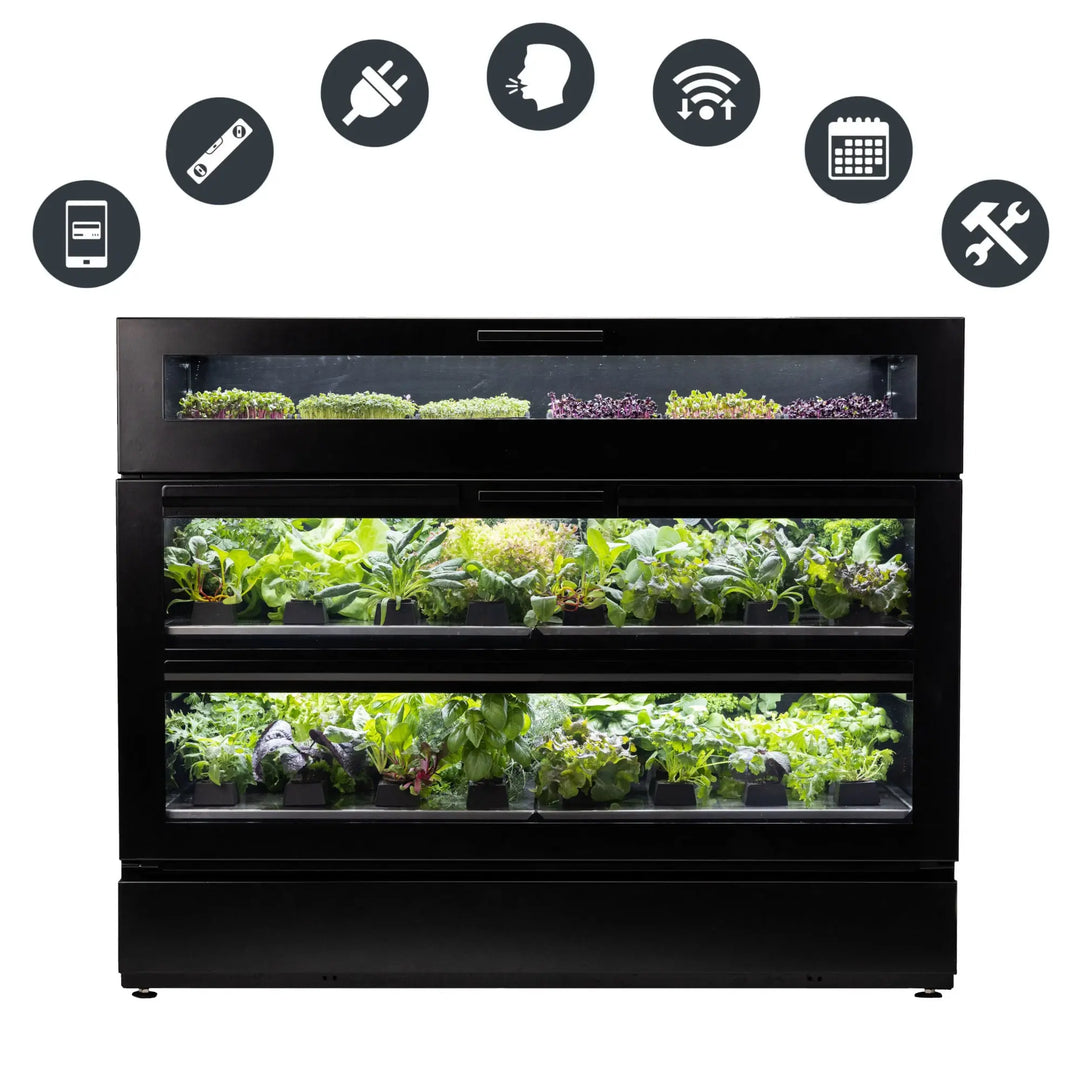 Raumgarten Service Angebot für eine Beratung zur verbesserung des Yields für den Raumgarten indoor Garten