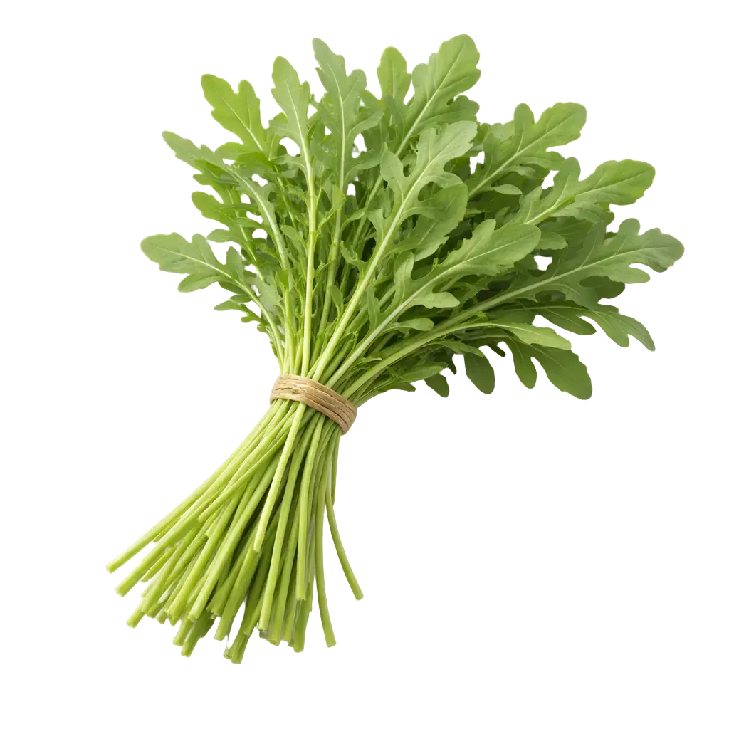 Ein Strauß Rucola aus dem Raumgarten