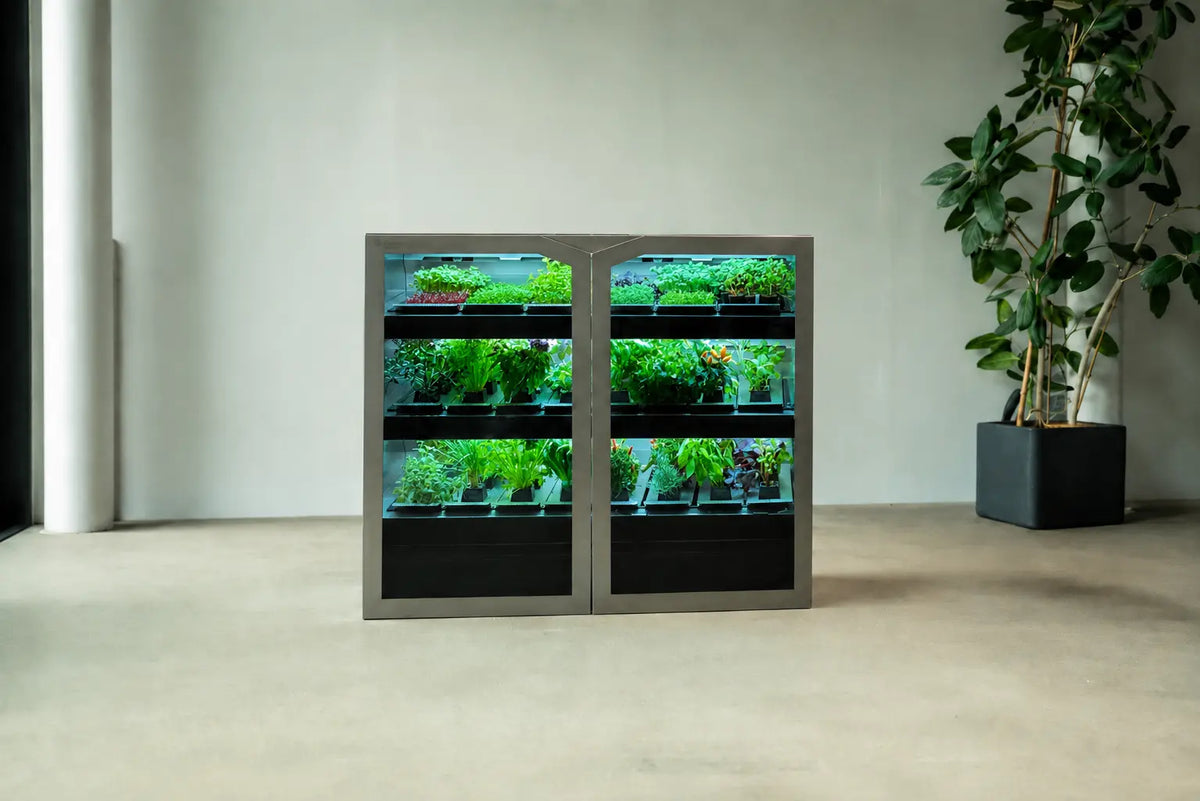 Raumgarten Pro
