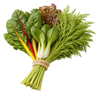Ein Strauß Mangold, Mizuna, Eichblatt un Pak Choi aus dem Raumgarten
