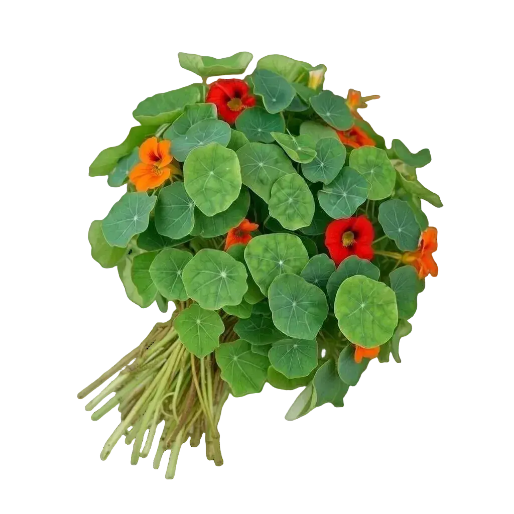 Ein Strauß Kapuzinerkresse aus dem Raumgarten