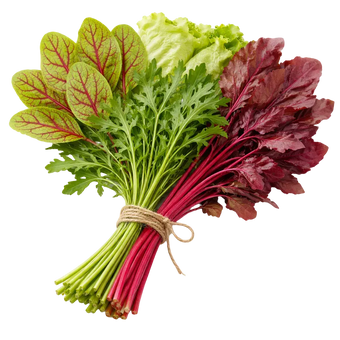 Ein Strauß Bluampfer, Rucola, Eisber Salat und Rote Beete aus dem Raumgarten