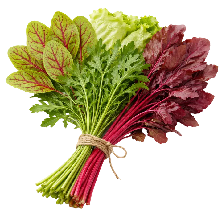 Ein Strauß Bluampfer, Rucola, Eisber Salat und Rote Beete aus dem Raumgarten