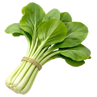 Ein Strauß Pak Choi aus dem Raumgarten