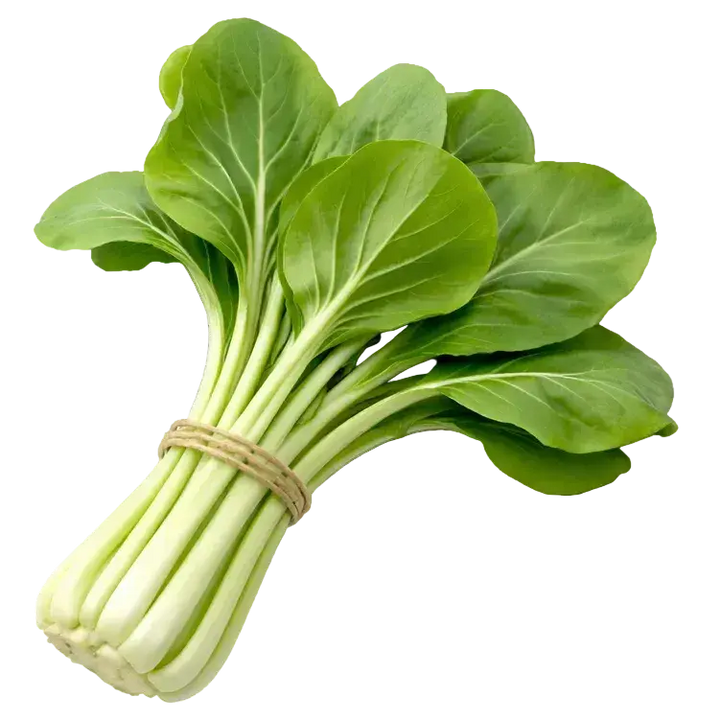 Ein Strauß Pak Choi aus dem Raumgarten