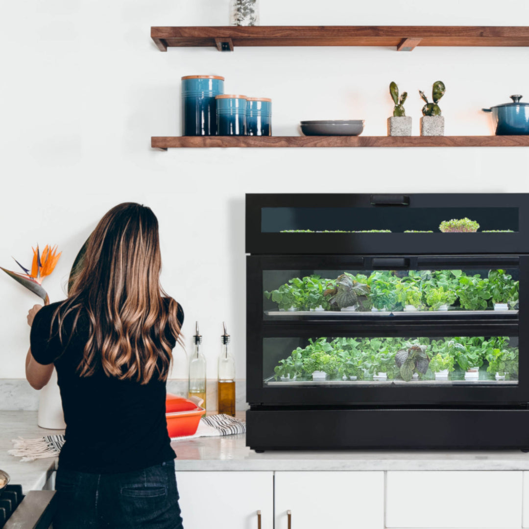 RG_Kitchen_Shelves-2000px-1x1.jpg__PID:0c6aed02-42b7-4f24-aad7-82cea91d372c