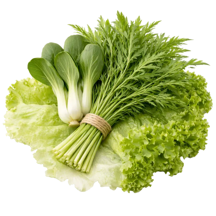 Ein Strauß Pak Choi, Eisberh Salat, Mizuna und Lollo Bionda aus dem Raumgarten