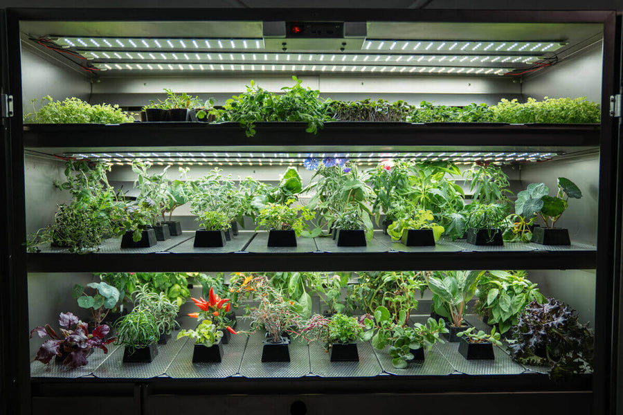 LED Indoor Garten mit mehrstöckigem Bewässerungssystem und Kräutern im vertikalen Raumgarten für nachhaltiges Home Gardening von Our Greenery.