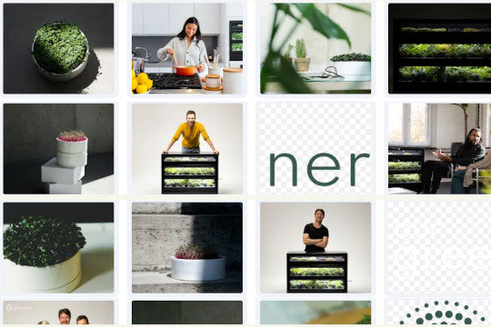 our greenery pressekit